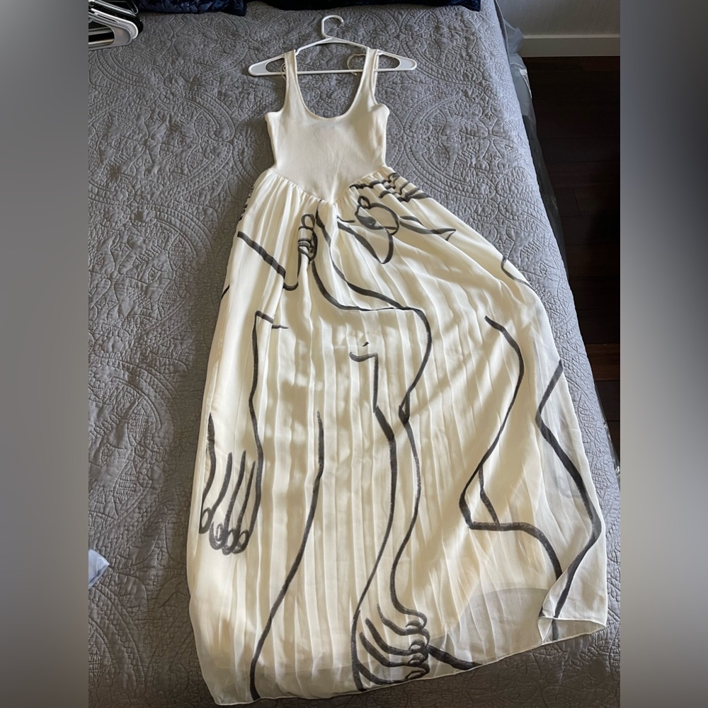 Zara Maxi dress
